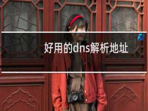 好用的dns解析地址