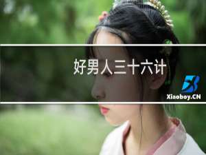好男人三十六计（好男人）