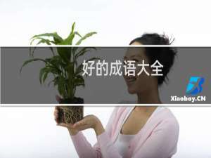 好的成语大全