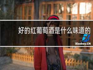好的红葡萄酒是什么味道的