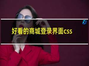 好看的商城登录界面css