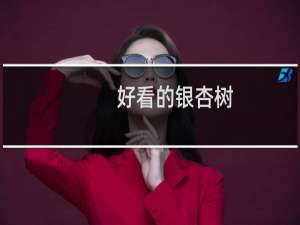 好看的银杏树