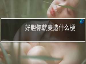 好胆你就麦造什么梗