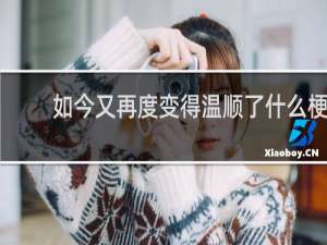 如今又再度变得温顺了什么梗