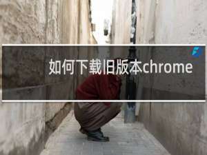 如何下载旧版本chrome