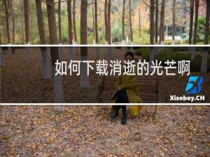 如何下载消逝的光芒啊
