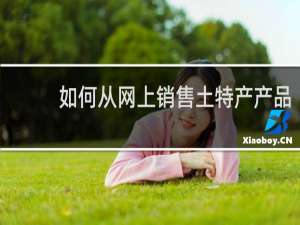 如何从网上销售土特产产品