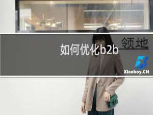 如何优化b2b