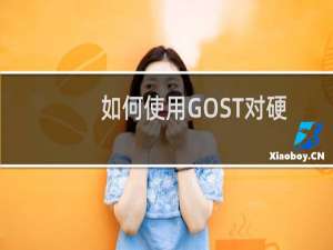 如何使用GOST对硬盘分区对拷【阿亮教程】