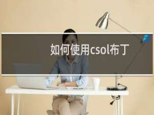 如何使用csol布丁