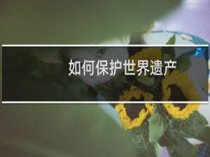 如何保护世界遗产