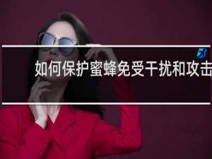 如何保护蜜蜂免受干扰和攻击
