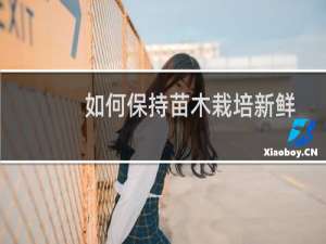 如何保持苗木栽培新鲜