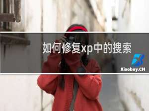 如何修复xp中的搜索功能