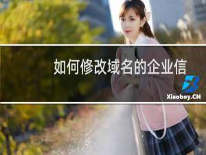 如何修改域名的企业信息？