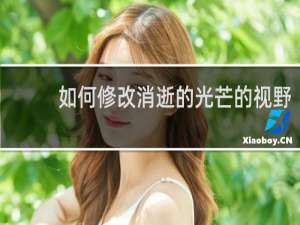 如何修改消逝的光芒的视野