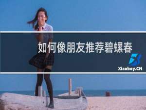 如何像朋友推荐碧螺春