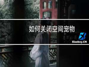 如何关闭空间宠物