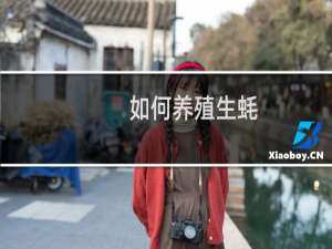 如何养殖生蚝