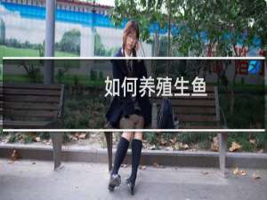 如何养殖生鱼