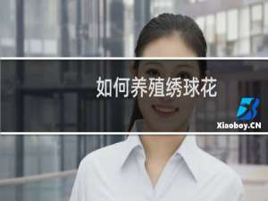 如何养殖绣球花