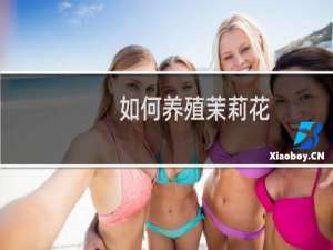 如何养殖茉莉花