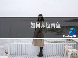 如何养殖青鱼