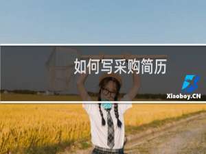 如何写采购简历