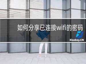 如何分享已连接wifi的密码