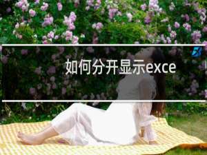 如何分开显示excel表格