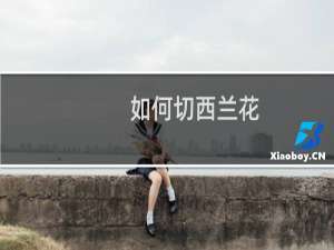 如何切西兰花