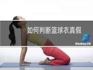 如何判断篮球衣真假