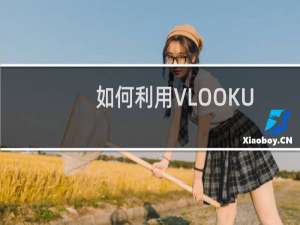 如何利用VLOOKUP函数跨表查找数据