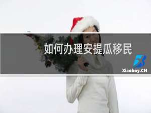 如何办理安提瓜移民