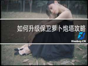 如何升级保卫萝卜炮塔攻略