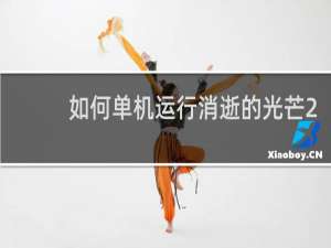 如何单机运行消逝的光芒2