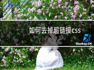 如何去掉超链接css