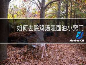 如何去除鸡汤表面油小窍门