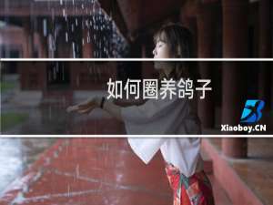 如何圈养鸽子