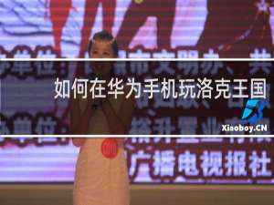 如何在华为手机玩洛克王国