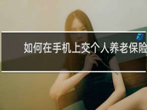 如何在手机上交个人养老保险