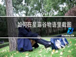 如何在星露谷物语里截图