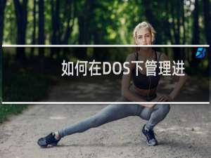 如何在DOS下管理进程