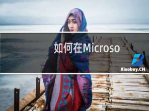 如何在Microsoft Excel 2016 设置显示方案摘要
