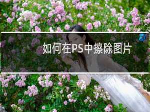 如何在PS中擦除图片中的文字？