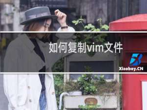 如何复制vim文件
