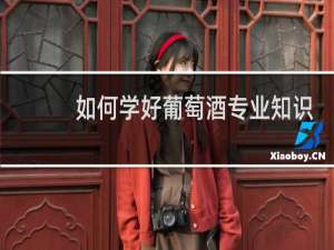 如何学好葡萄酒专业知识