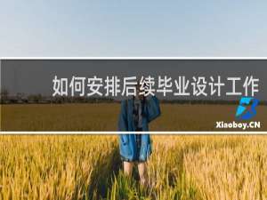 如何安排后续毕业设计工作