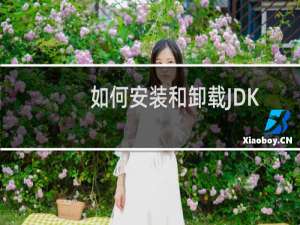 如何安装和卸载JDK