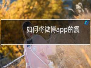 如何将微博app的震动提醒打开/关闭？